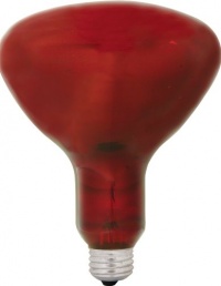 GE Lighting 37771 R40 Heat Lamp, Red, 250-Watt GE Lighting 37771 R40 Heat Lamp, Red, 250-Watt