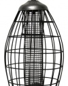 Heath Outdoor 21216 Brass Squirrel Proof Nut and Seed Bird Feeder, Metal Pewter-Black