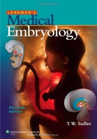 Langman's Medical Embryology Langman's Medical Embryology