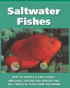 The 101 Best Saltwater Fishes: How to Choose & Keep Hardy, Brilliant, Fascinating Species That Will Thrive in Your Home Aquarium (Adventurous Aquarist Guide)