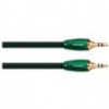 AUDIOQUEST - EVERGREEN MINI-TO-MINI 1.5M