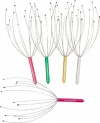 Head Neck Scalp Massager | Pack of 5 Colors Vary| Provides Deep Relaxation, Perfect For Everyone! | Seeking Health