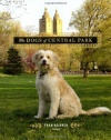 The Dogs of Central Park