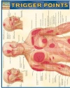 Trigger Points (Quick Study Academic)