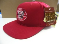 MLB Cincinnati Reds Vintage Old School Snapback Cap Retro MLB Cincinnati Reds Vintage Old School Snapback Cap Retro
