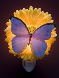 Blue Butterfly & Gerber Daisy Night Light Blue Butterfly & Gerber Daisy Night Light