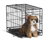 Midwest 1518 iCrate Single-Door Pet Crate 18-By-12-By-14-Inch Midwest 1518 iCrate Single-Door Pet Crate 18-By-12-By-14-Inch