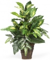 Nearly Natural 6527 Greens with Wicker Decorative Silk Plant, Green