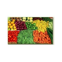 Emergency Food Survival Seed Non-gmo Non-hybrid Gift Variety Pack Retail for $135 Emergency Food Survival Seed Non-gmo Non-hybrid Gift Variety Pack Retail for $135