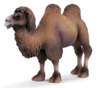 Two-humped Camel Two-humped Camel