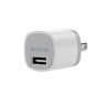 Belkin Micro (1.1 Amp) USB Wall Charger with 4 ft Sync / Charge Cable for Apple iPhone 4S (30 Pin, White)
