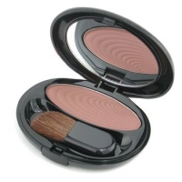 Shiseido The Makeup Accentuating Powder Blush - # B3 Glistening Brown - 6.5g/0.22oz Shiseido The Makeup Accentuating Powder Blush - # B3 Glistening Brown - 6.5g/0.22oz