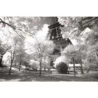 Afternoon in Paris (Eiffel Tower, B/W) Art Poster Print - 24x36 Collections Poster Print, 36x24 Travel Poster Print, 36x24 Afternoon in Paris (Eiffel Tower, B/W) Art Poster Print - 24x36 Collections Poster Print, 36x24 Travel Poster Print, 36x24