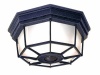 Heath/Zenith SL-4300-RS 360-Degree Motion-Activated Octagonal Ceiling Light, Rust