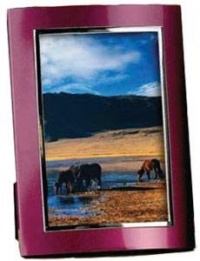 Lawrence Frames Burgundy/Brushed Silver Aluminum Dome 5x7 Picture Frame Lawrence Frames Burgundy/Brushed Silver Aluminum Dome 5x7 Picture Frame