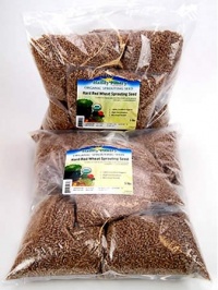 Certified Organic Hard Red Wheat- 10 Lbs- For Growing Wheatgrass to Juice, Sprouting Seed, Grinding to Make Flour & Bread, Food Storage & More Certified Organic Hard Red Wheat- 10 Lbs- For Growing Wheatgrass to Juice, Sprouting Seed, Grinding to Make Flour & Bread, Food Storage & More