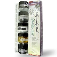 Speedball 5-Color Pigmented Acrylic Ink Palette Set Speedball 5-Color Pigmented Acrylic Ink Palette Set
