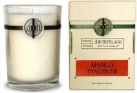 Archipelago Botanicals Signature 5.25 oz Boxed Candle - Mango Tangerine Archipelago Botanicals Signature 5.25 oz Boxed Candle - Mango Tangerine