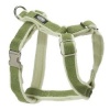 Planet Dog Cozy Hemp Adjustable Harness Apple Green Large