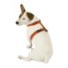 Planet Dog Cozy Hemp Adjustable Harness Apple Green Small