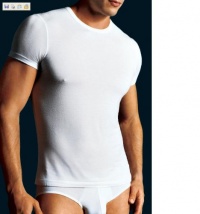 Calvin Klein Men's Micro Modal S/S Crew, White, Large Calvin Klein Men's Micro Modal S/S Crew, White, Large