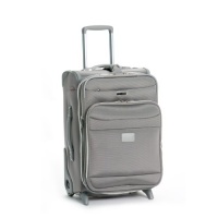 Delsey Luggage Helium Pilot 2.0 Lightweight Carry On 2 Wheel Rolling Suiter Upright, Platinum, 21 Inch