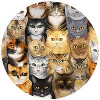 Thirstystone Cats Cats Cats Sandstone Coaster Set Of 4 Thirstystone Cats Cats Cats Sandstone Coaster Set Of 4