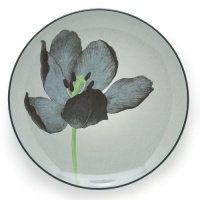 Noritake Colorwave Graphite Accent Plate, 8-Inch Noritake Colorwave Graphite Accent Plate, 8-Inch
