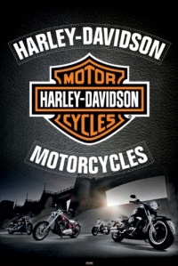 (24x36) Harley Davidson Leather Art Print Poster (24x36) Harley Davidson Leather Art Print Poster