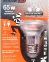 Miracle LED 605027 Security Bulb, White