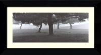 Trees in the Fog by Richard Calvo, Framed Print Art - 13.49 x 24.99 Trees in the Fog by Richard Calvo, Framed Print Art - 13.49 x 24.99