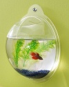 Wall Mount Hanging Beta Fish Bubble Aquarium Bowl Tank