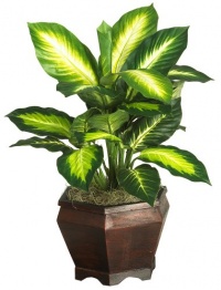 Nearly Natural 6592-05 Golden Dieffenbachia with Wood Vase Decorative Silk Plant, Green Nearly Natural 6592-05 Golden Dieffenbachia with Wood Vase Decorative Silk Plant, Green
