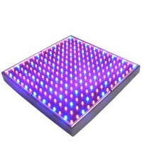 Red & Blue LED Light Therapy for Face & Neck - Anti-Aging Phototherapy 225 LEDs Red & Blue LED Light Therapy for Face & Neck - Anti-Aging Phototherapy 225 LEDs