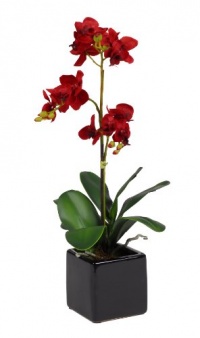 House of Silk Flowers Artificial 17-Inch Phalaenopsis Orchid, Mini, Red House of Silk Flowers Artificial 17-Inch Phalaenopsis Orchid, Mini, Red