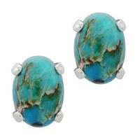 1.20 Ct Stunning Oval Blue Turquoise With .925 Sterling Silver Earring Studs 1.20 Ct Stunning Oval Blue Turquoise With .925 Sterling Silver Earring Studs