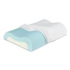 Sleep Innovations Cool Contour Memory Foam Pillow