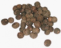 Spicy World Whole Allspice, 1 Pound Spicy World Whole Allspice, 1 Pound