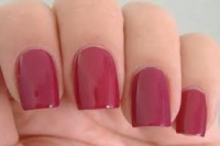 OPI South Beach Collection Miami Beet (NL B78) .5oz/15ml