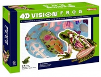 4D Vision Frog Anatomy Model 4D Vision Frog Anatomy Model