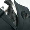 Landisun 541 Black Paisleys Mens Silk Tie Set: Tie+Hanky+Cufflinks Exclusive