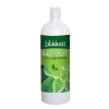 Biokleen Bac-Out Stain And Odor Eliminator 32 OZ