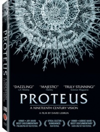 Proteus Proteus