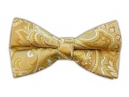 100% Silk Woven Gold Paisley Self-Tie Bow Tie