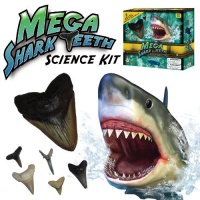Mega Shark Teeth Science Kit Mega Shark Teeth Science Kit