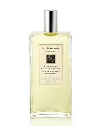 A subtly sweet fragrance, Blue Agava Living Cologne is a brilliant way to scent the skin and extend to infuse any environment. This single-note mist captures the delicate scent of blue agava. A subtly sweet fragrance, Blue Agava Living Cologne is a brilliant way to scent the skin and extend to infuse any environment. This single-note mist captures the delicate scent of blue agava.