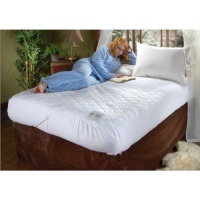 Biddeford 5202-505222-100 60 by 80-Inch Quilted Skirt Heated Mattress Pad, Queen, Natural Biddeford 5202-505222-100 60 by 80-Inch Quilted Skirt Heated Mattress Pad, Queen, Natural