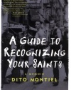 A Guide to Recognizing Your Saints: A Memoir