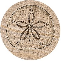 Sand Dollar Thirstystone Sandstone Coasters Sand Dollar Thirstystone Sandstone Coasters