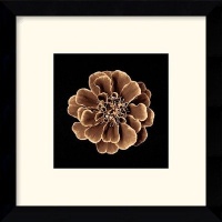 Ruffles in Taupe Framed Decorative Art Print - 11.12 x 11.12 Ruffles in Taupe Framed Decorative Art Print - 11.12 x 11.12